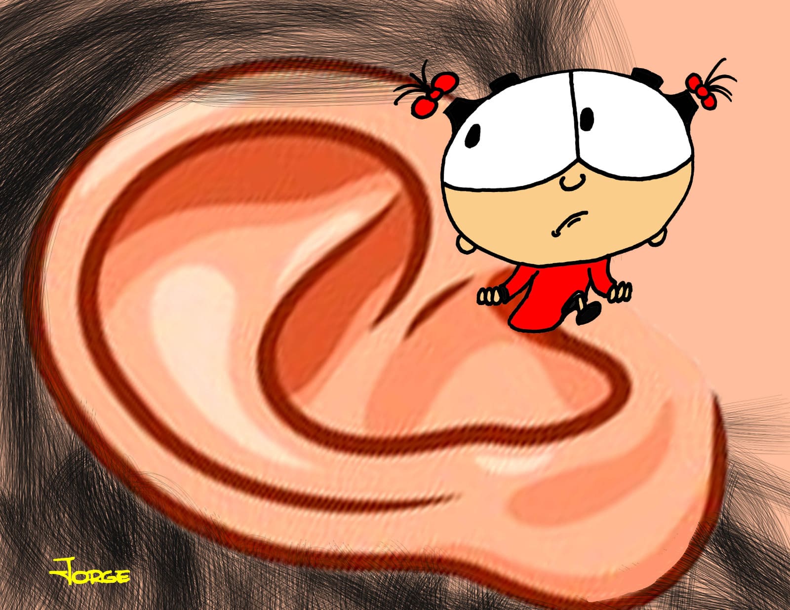 ¿Y qué pasó con las fernandas?